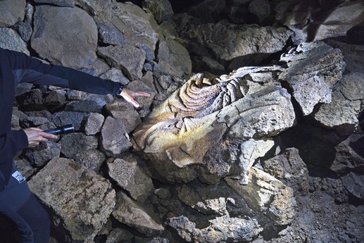 25 marzo La Cueva del Viento